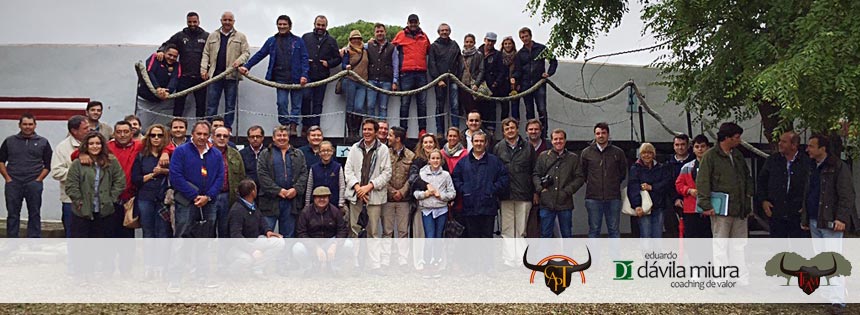 Bull Team, el coaching taurino dirigido a ejecutivos y empresarios Bull Team, el coaching taurino dirigido a ejecutivos y empresarios